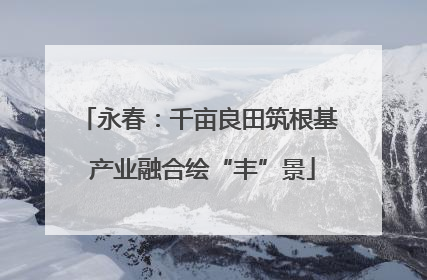 永春：千亩良田筑根基 产业融合绘“丰”景